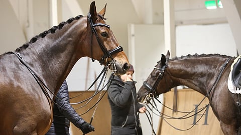 Stella Hagelstamin kaksikko, vasemmalla Disney Fairytale ja oikealla Prince Nassak. 