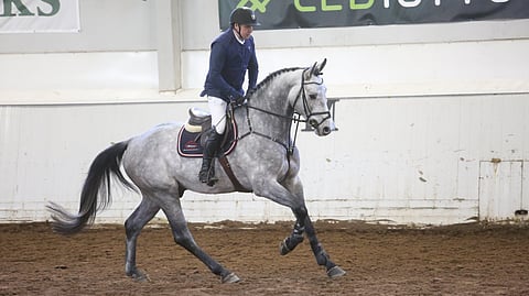 Casino Helsinki palaa näytille.