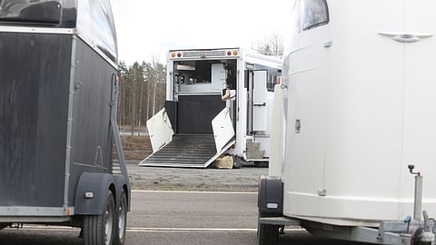 Herpestilanteen hillitsemiseksi SRL kehottaa kuluvana viikonloppuna välttämään kuljettamasta hevosta paikkoihin, joissa yövytään tai joissa on paljon hevosia samassa tilassa. 