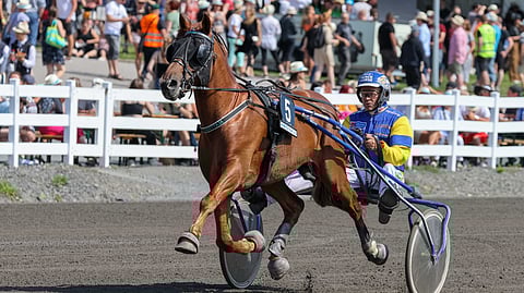 Lumettaja on Terho Rautiaisen tallin ykkösnimi.