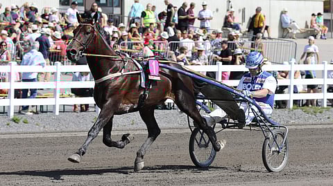 Idomenio Sisu ja Petri Salmela