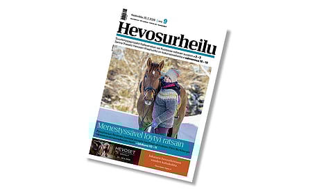 Pyssyharjun Roomeo on Hevosurheilun kansikuvahevonen.