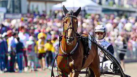 Issakan Valo ravihevonen rattaillaan Iikka Nurmonen