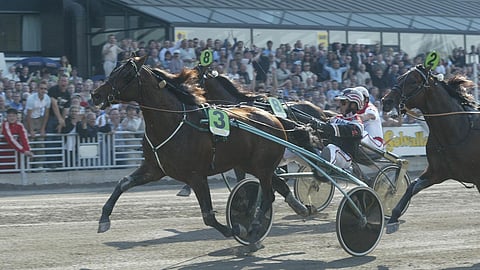 From Above Ruotsin ravit