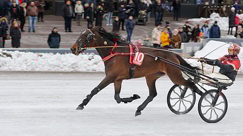 Bid On Princess kisasi aiemmin Tapio Perttusen treenistä.