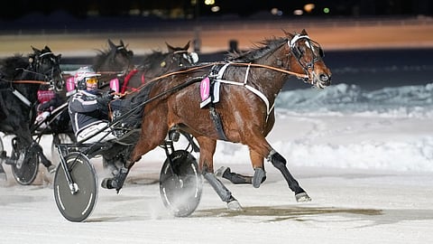 4-vuotiaana Dorea Frido voitti tammojen Kasvattajakruunun finaalin Antti Teivaisen ohjastamana.