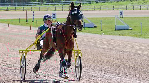 Harri Vimpari ajaa mielellään kilpaa, tässä kuvassa Baby Challengerilla.