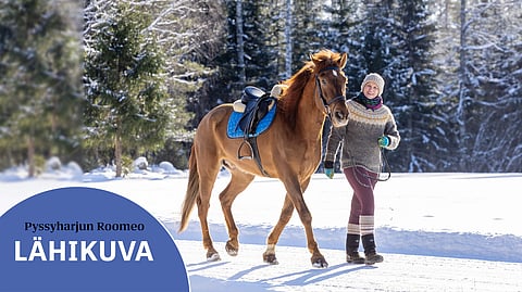 Skrikberg on asunut jo yli 20 vuotta pääkaupunkiseudun ulkopuolella, eikä hän Kehä III:n sisäpuolelle enää aio palata. Sen sijaan mieli halajaa ajoittain äidin synnyinseudulle Etelä-Pohjanmaalle tai Italiaan, johon hän on tutustunut ystävystyttyään siellä asuvan Marjo Nätyngin kanssa hevoskauppojen myötä.