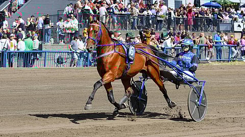 Condor Bar rattaillaan Henna Halme.