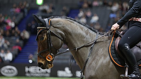 Perjantaina Bouncya ratsasti Eveliina Talvio, sunnuntaina sen satulaan kiipeää Nina Fagerström. 