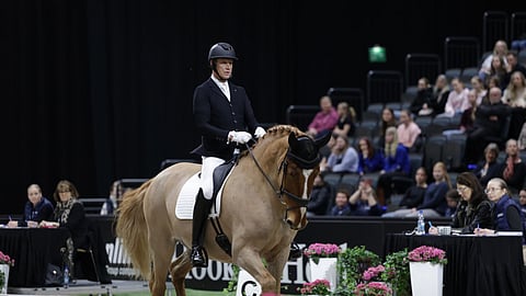 Tuomarit arvostivat jälleen Vekardoa. 