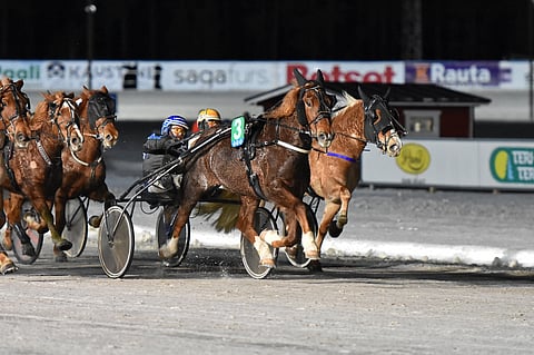 Nompparillan voima puhui tammalähdössä.