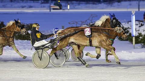 Cooleri voitti tammikuussa Toto75-lähdön Teivossa Riku Lindgrenin ohjastamana.