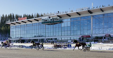 Teivon 75-finaaliravit viedään läpi kevätauringon lämmittäessä. Kavioura pitää hyvin.