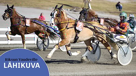 Riksun Vaudeville suoritusvarmuudesta kertoo sen uran sijaprosentti 90. Antti Tupamäen käsistä takana on kuusi starttia, neljä voittoa ja yksi kolmossija.