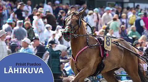 Pikkuprinsessaksi Kouvolassa vuonna 2023 juossut Prisit Pardoo kartuttaa nyt KK26-pisteitä lauantain kuudennessa lähdössä.