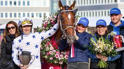 Ravit Elitloppet