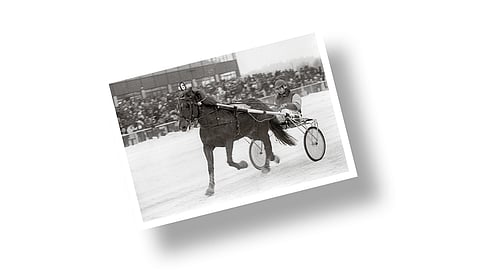Nostalgia. Kuva: Hevosurheilu-lehden arkisto