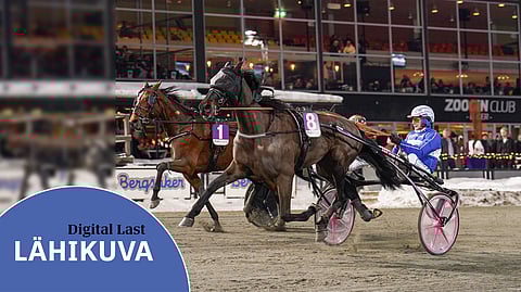 Jorma Kontio ja Digital Last (8) juhlivat Bergsåkerin V85-kierroksella. Voitto takasi finaalipaikan Solvallan 28. maaliskuuta juostavalle finaalikierrokselle.