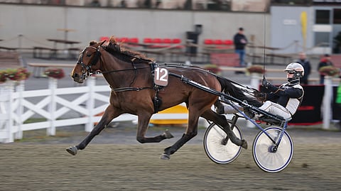 Overhead Panel ja Tuukka Varis pyrkivät torstaina valloittamaan Bodenin.