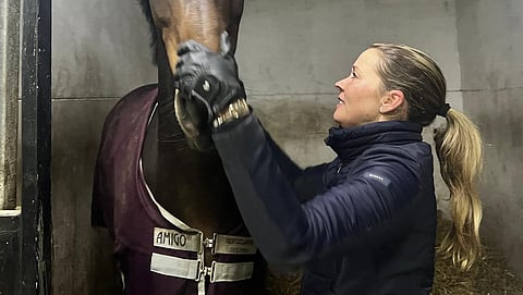 Mikaela Soratie tuo kilparadoille 2026 aiempien hevostensa  lisäksi aivan uuden tuttavuuden.   