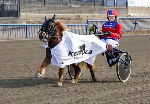 Tamma Crystal Daemon juoksi Kouvolassa 1640 metriä aikaan 2.35,0.