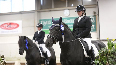 Finnhorse Cupin finaalivoitto Taikayön Tangolle näin alkukauteen.  Vapun Voima kakkoseksi. 