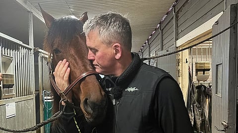 Vuoden hevonen Ruotsissa