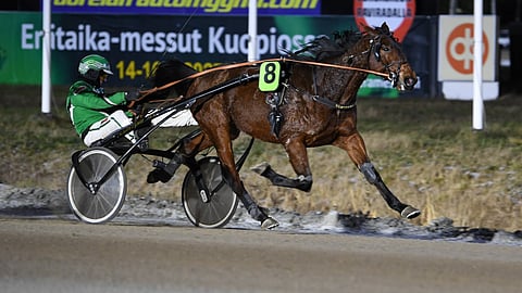 Västerbo Gute voitti joulukuussa Kuopiossa T75-lähdön Ari Moilasen ohjastamana.