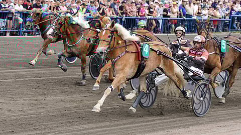 Suven Sametti, Tapio Perttunen