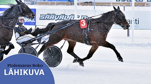 Tämän kauden neljästä kilpailustaan Ptolemaeus Boko on vienyt kolme.