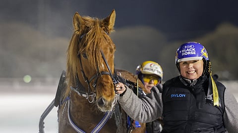 Villiniitti, Bea-Maria Puikkonen ja Pertti Puikkonen