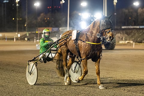 N.P. Onni palasi voittajaksi pitkän tauon jälkeen.