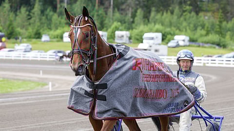 Fuego Combo, Pekka Korpi