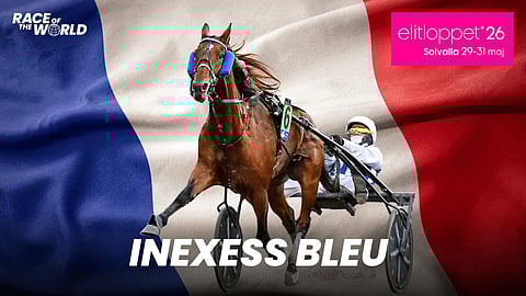 Elitloppet-ravit Solvallassa