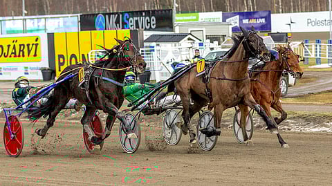 Champagne Love (7) toi Eija Sorvistolle Toto75-voiton.