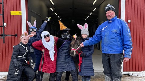 Poni Lepomäen Mysteerio eli Masi ja virpojien joukko kävivät Leo Mönttisen tallilla pääsiäisperinteen kunniaksi.