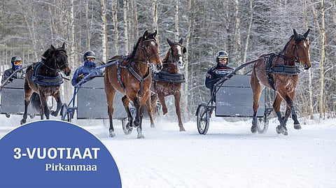 Joni-Petteri Irrin itse ohjastama Lady Haya vetää treeniryhmää. Vasemmalla parijonossa Skyfall Windy ja Tino Keväänranta sekä Cinematic Shade ja Jari Salmi. Läsipäinen Melody Match kärryillään Heidi Torsti täydentävät Irrin iskukykyisen kolmivuotisjoukon.