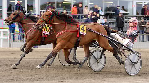 Rosima ja Santtu Raitala