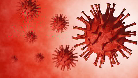 EHV-1 -viruksesta ei ole päästy vielä. 