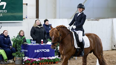 Hasselpähkinän omaratsastaja on Laura Sassi. 