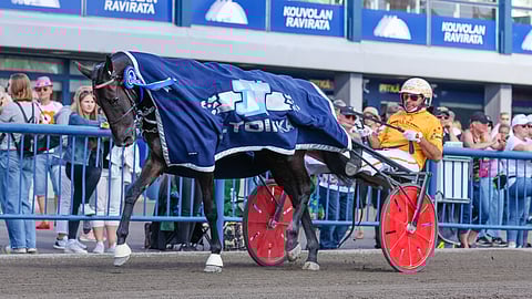 Diva Ek ja Alessandro Gocciadoro