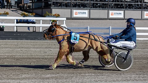 Lahden A-ponilähdön sankaripari Karkin Fani ja Kerttu Pappinen noteerasi tuloksen 2.34,7/1780 metriä.