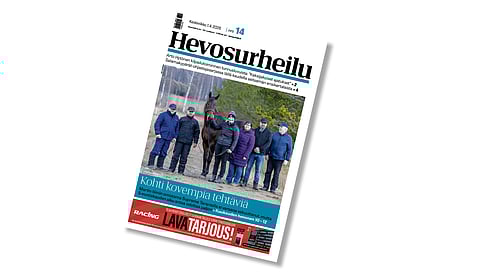 Supreme Tarantella on Hevosurheilun Kuukauden hevonen.