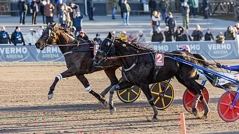 Romanov Comery (5) kiri puhurin lailla ja tuli väkisin ohi Fortunewheelgardenin.