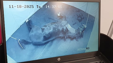 Leikkaus tehty, heräämön puolella ollaan jo. 