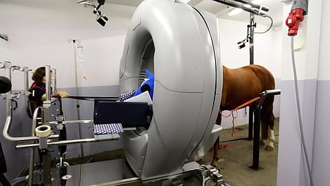 Suomen ainoa hevosille suunnattu  CT-laite on Vermossa.