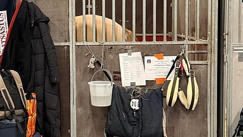 Yksi ehdotus on rauhoittaa tallialue ainakin kuudeksi tunniksi yöaikaan. 