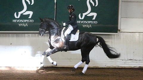 Jalostusori Freestyle aloittaa kisakauden ratsastajansa Venla Kiviniemen kanssa. 