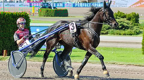 Need'em valloitti toissa vuonna Solvallan ravipyhätön.